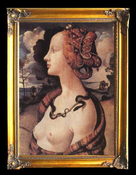 framed  Piero di Cosimo Portrait of Simonetta vespucci, Ta113